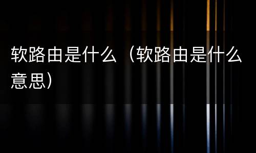 软路由是什么（软路由是什么意思）