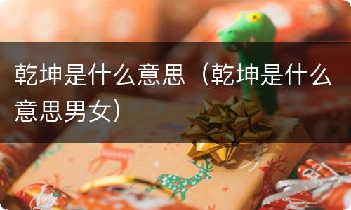 乾坤是什么意思（乾坤是什么意思男女）