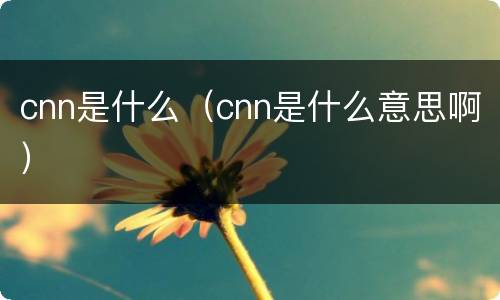 cnn是什么（cnn是什么意思啊）