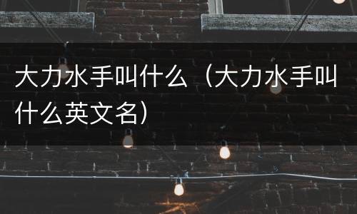 大力水手叫什么（大力水手叫什么英文名）