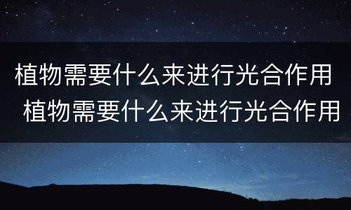 植物需要什么来进行光合作用 植物需要什么来进行光合作用阳光