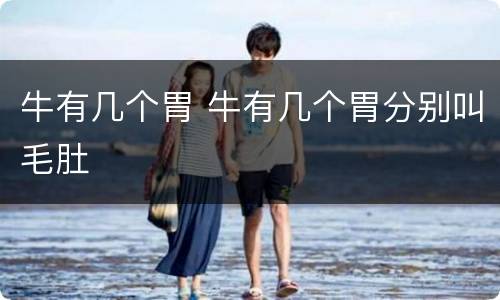 牛有几个胃 牛有几个胃分别叫毛肚