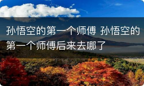 孙悟空的第一个师傅 孙悟空的第一个师傅后来去哪了