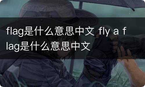 flag是什么意思中文 fly a flag是什么意思中文