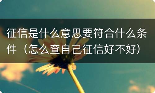 征信是什么意思要符合什么条件（怎么查自己征信好不好）