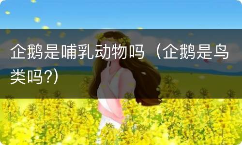 企鹅是哺乳动物吗（企鹅是鸟类吗?）