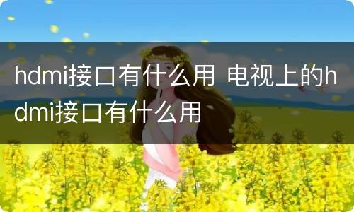 hdmi接口有什么用 电视上的hdmi接口有什么用