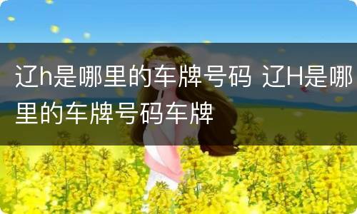 辽h是哪里的车牌号码 辽H是哪里的车牌号码车牌
