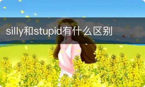 silly和stupid有什么区别