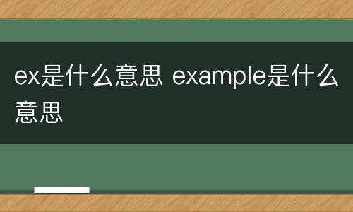 ex是什么意思 example是什么意思