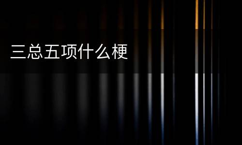 三总五项什么梗