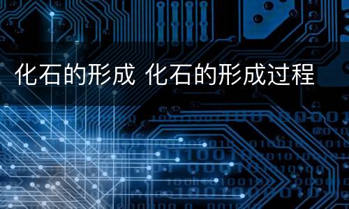 化石的形成 化石的形成过程