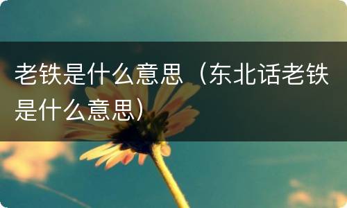 老铁是什么意思（东北话老铁是什么意思）