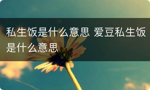 私生饭是什么意思 爱豆私生饭是什么意思