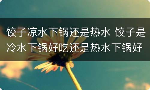 饺子凉水下锅还是热水 饺子是冷水下锅好吃还是热水下锅好吃