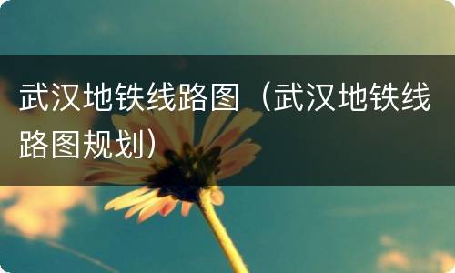 武汉地铁线路图（武汉地铁线路图规划）