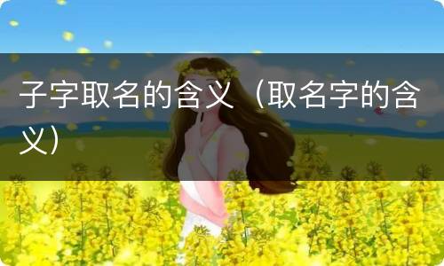 子字取名的含义（取名字的含义）
