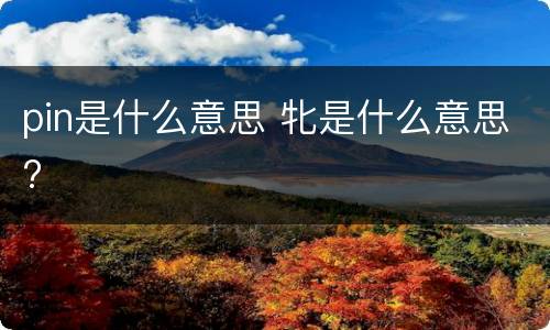 pin是什么意思 牝是什么意思?