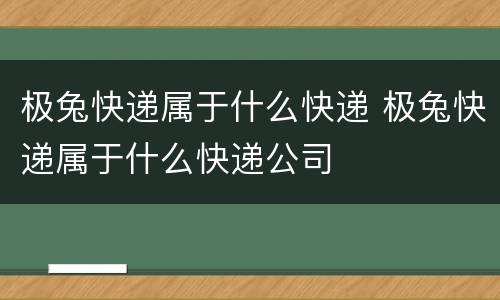 极兔快递属于什么快递 极兔快递属于什么快递公司