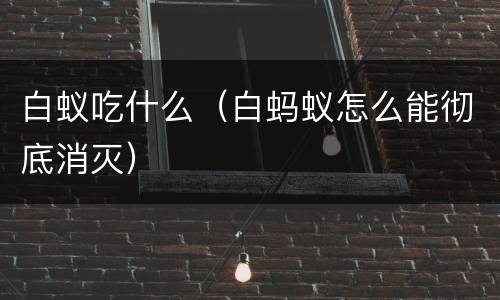白蚁吃什么（白蚂蚁怎么能彻底消灭）