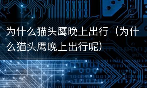 为什么猫头鹰晚上出行（为什么猫头鹰晚上出行呢）