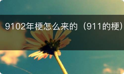 9102年梗怎么来的（911的梗）