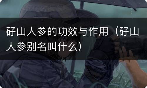 矷山人参的功效与作用（矷山人参别名叫什么）