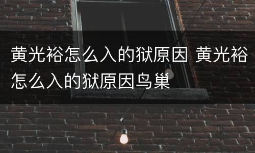 黄光裕怎么入的狱原因 黄光裕怎么入的狱原因鸟巢