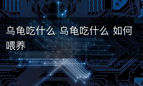 乌龟吃什么 乌龟吃什么 如何喂养