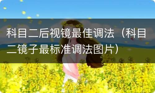 科目二后视镜最佳调法（科目二镜子最标准调法图片）