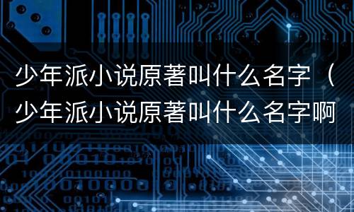 少年派小说原著叫什么名字（少年派小说原著叫什么名字啊）