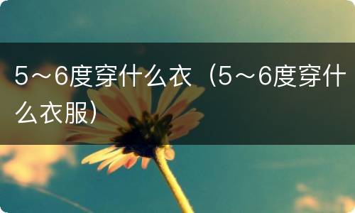 5～6度穿什么衣（5～6度穿什么衣服）