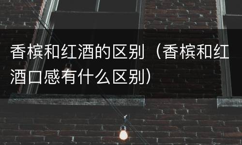 香槟和红酒的区别（香槟和红酒口感有什么区别）