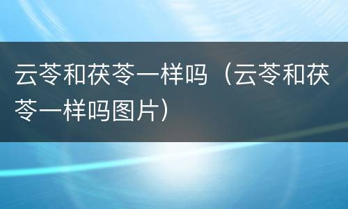 云苓和茯苓一样吗（云苓和茯苓一样吗图片）