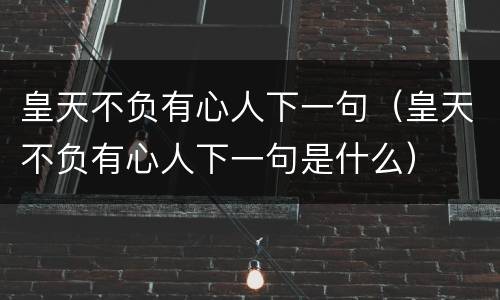 皇天不负有心人下一句（皇天不负有心人下一句是什么）