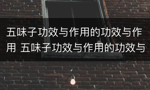 五味子功效与作用的功效与作用 五味子功效与作用的功效与作用是什么依母贝