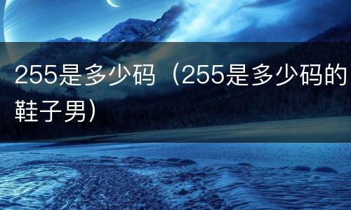 255是多少码（255是多少码的鞋子男）