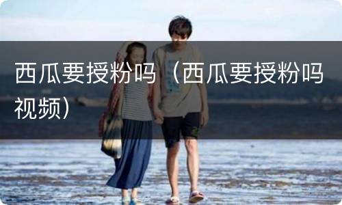 西瓜要授粉吗（西瓜要授粉吗视频）