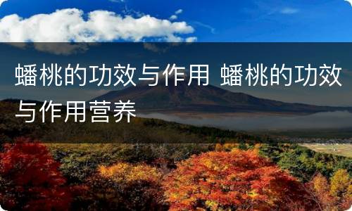蟠桃的功效与作用 蟠桃的功效与作用营养