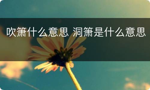 吹箫什么意思 洞箫是什么意思