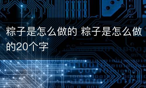 粽子是怎么做的 粽子是怎么做的20个字