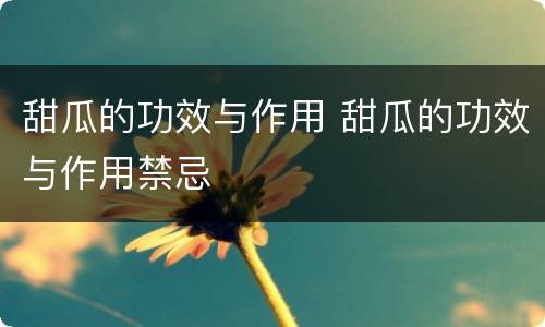 甜瓜的功效与作用 甜瓜的功效与作用禁忌