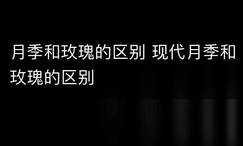 月季和玫瑰的区别 现代月季和玫瑰的区别