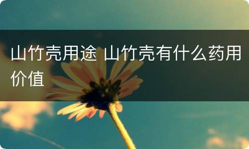 山竹壳用途 山竹壳有什么药用价值