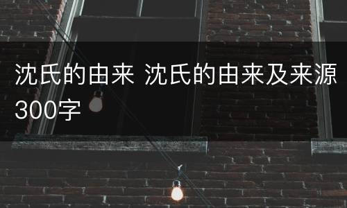 沈氏的由来 沈氏的由来及来源300字