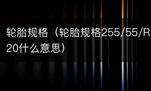 轮胎规格（轮胎规格255/55/R20什么意思）