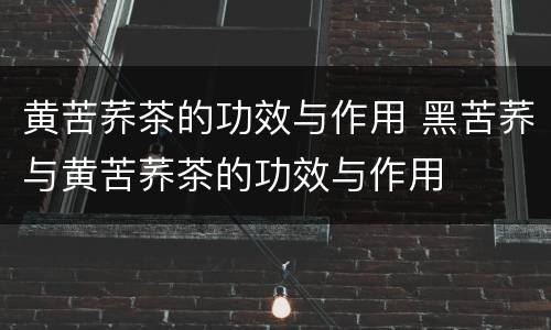 黄苦荞茶的功效与作用 黑苦荞与黄苦荞茶的功效与作用