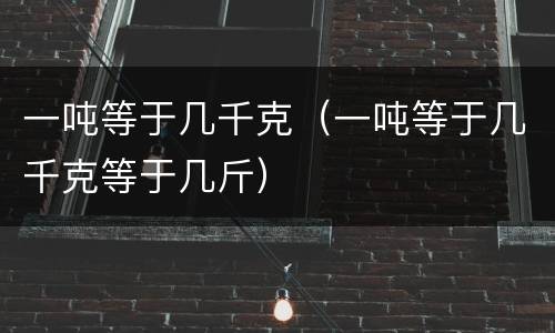 一吨等于几千克（一吨等于几千克等于几斤）