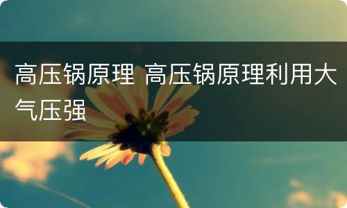 高压锅原理 高压锅原理利用大气压强