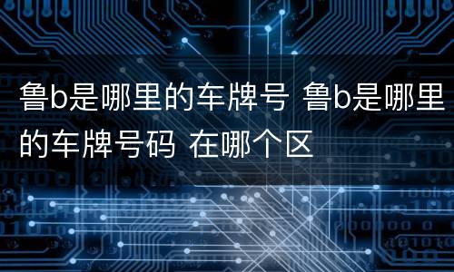 鲁b是哪里的车牌号 鲁b是哪里的车牌号码 在哪个区